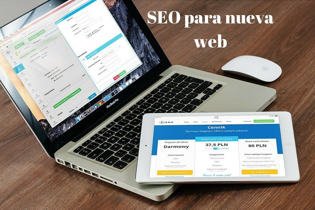 SEO para nueva web